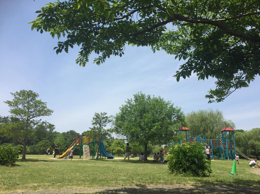 Kingyoto Koino Satohiroba-长洲町必去景点