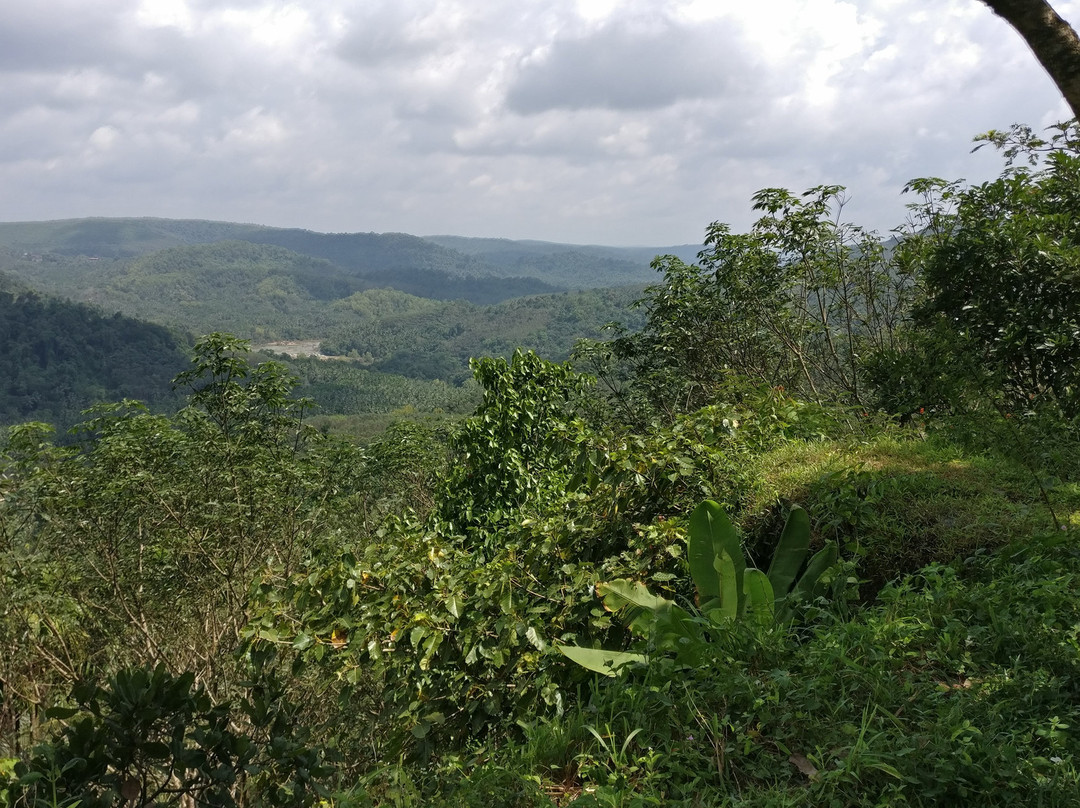 Thonikadavu-Kasaragod必去景点