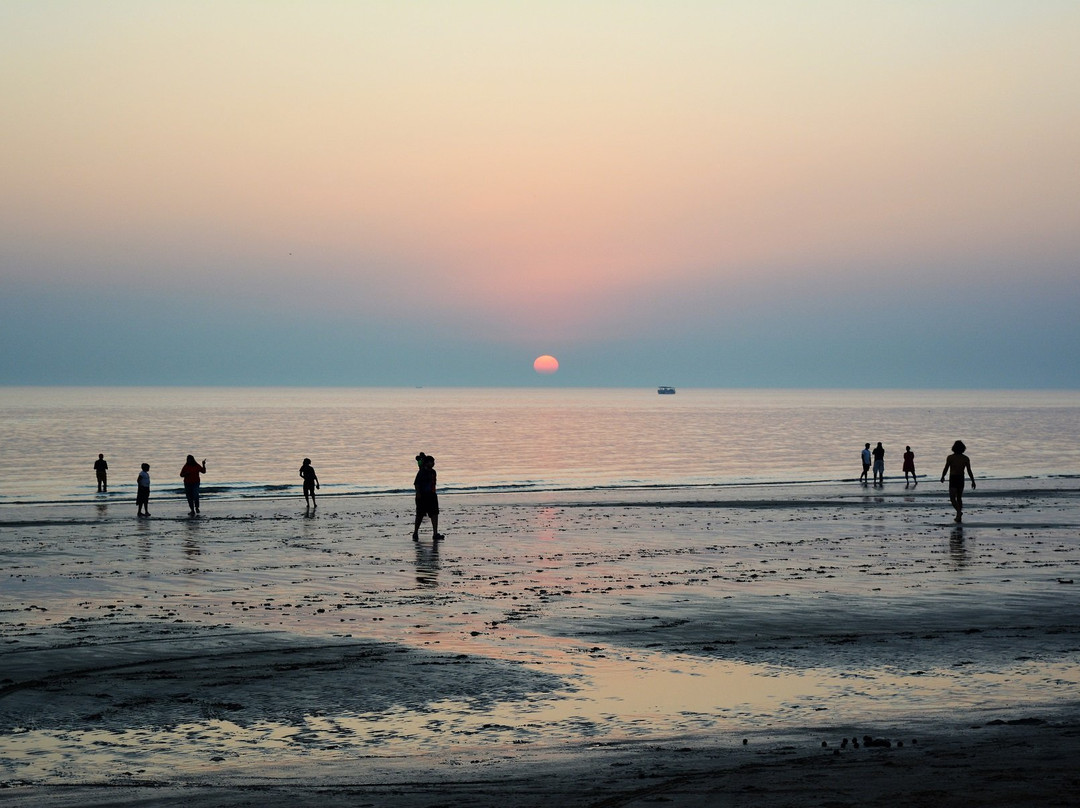 Mandvi Beach景点图片