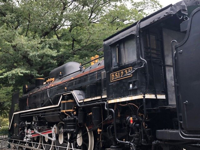 Steam Locomotive D51231-Uenokoen必去景点