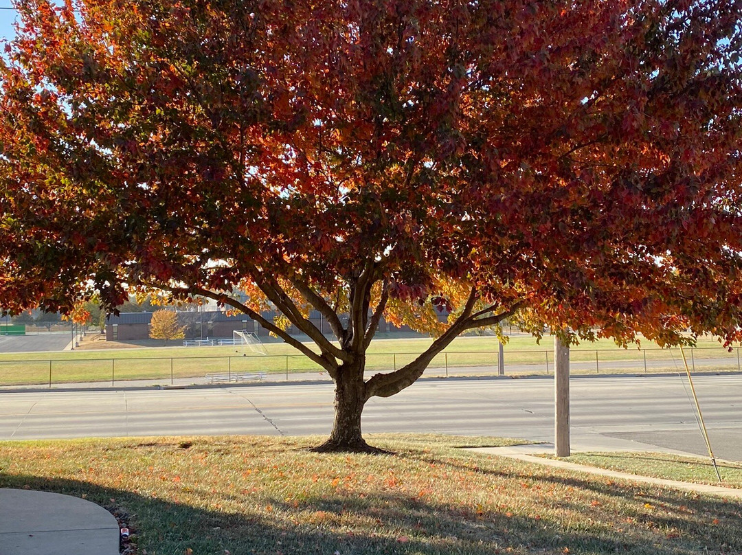 Lake Ridge Bar & Grill