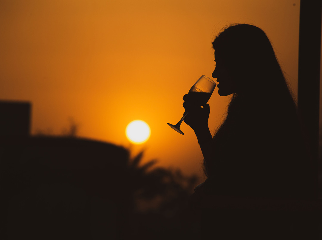 Lumbini Zone酒店住宿-Lumbini Palace Resort