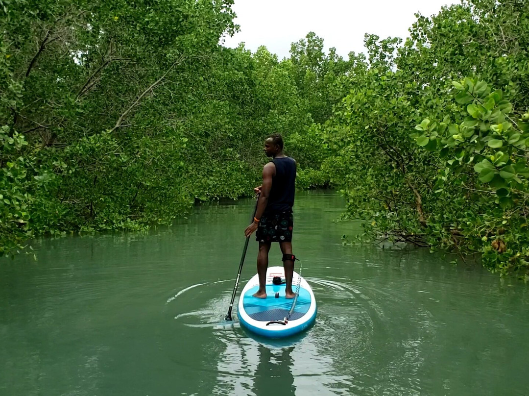 2 Winds Paddle Sports-桑给巴尔市必去景点