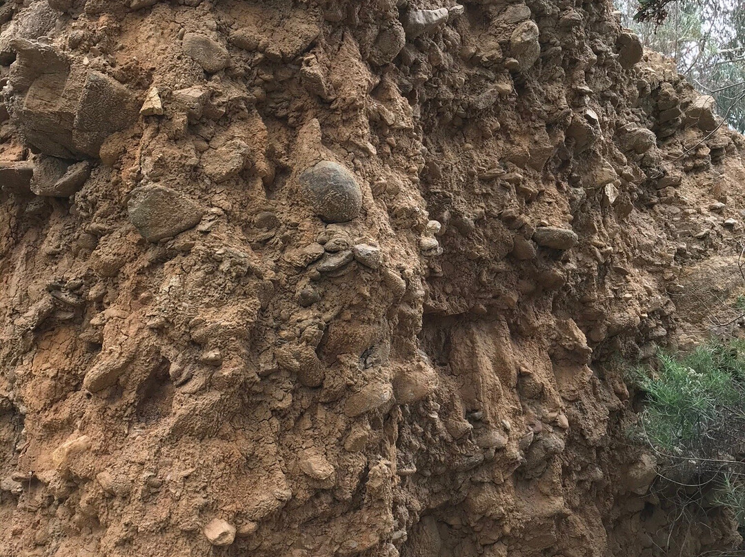 Oriental Claims Historic Area-Omeo必去景点