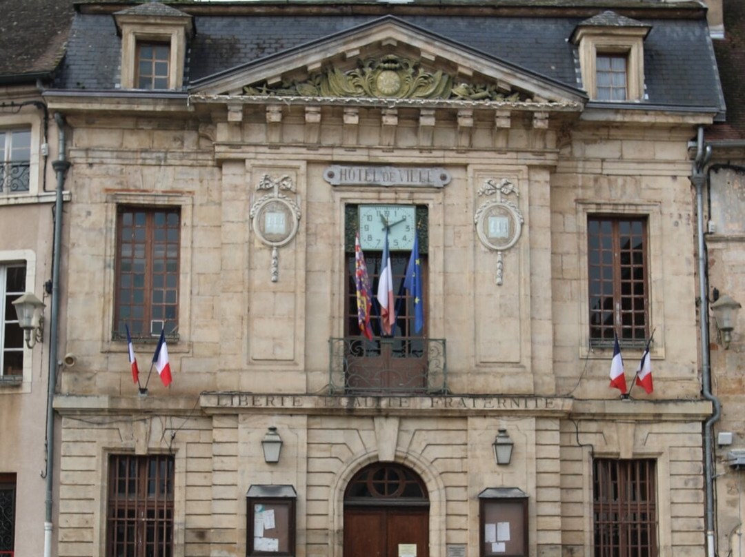 Hôtel de Ville景点图片