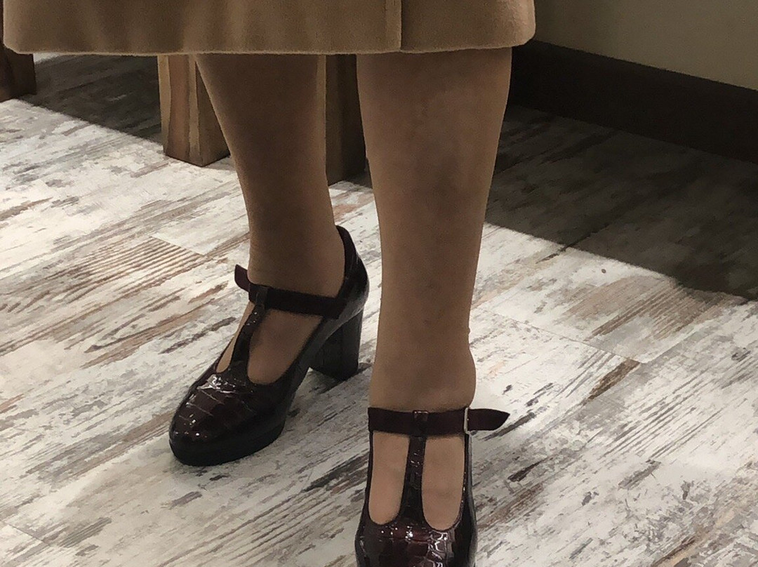 Calcats Albero-比拉夫兰卡德尔佩内德斯必去景点