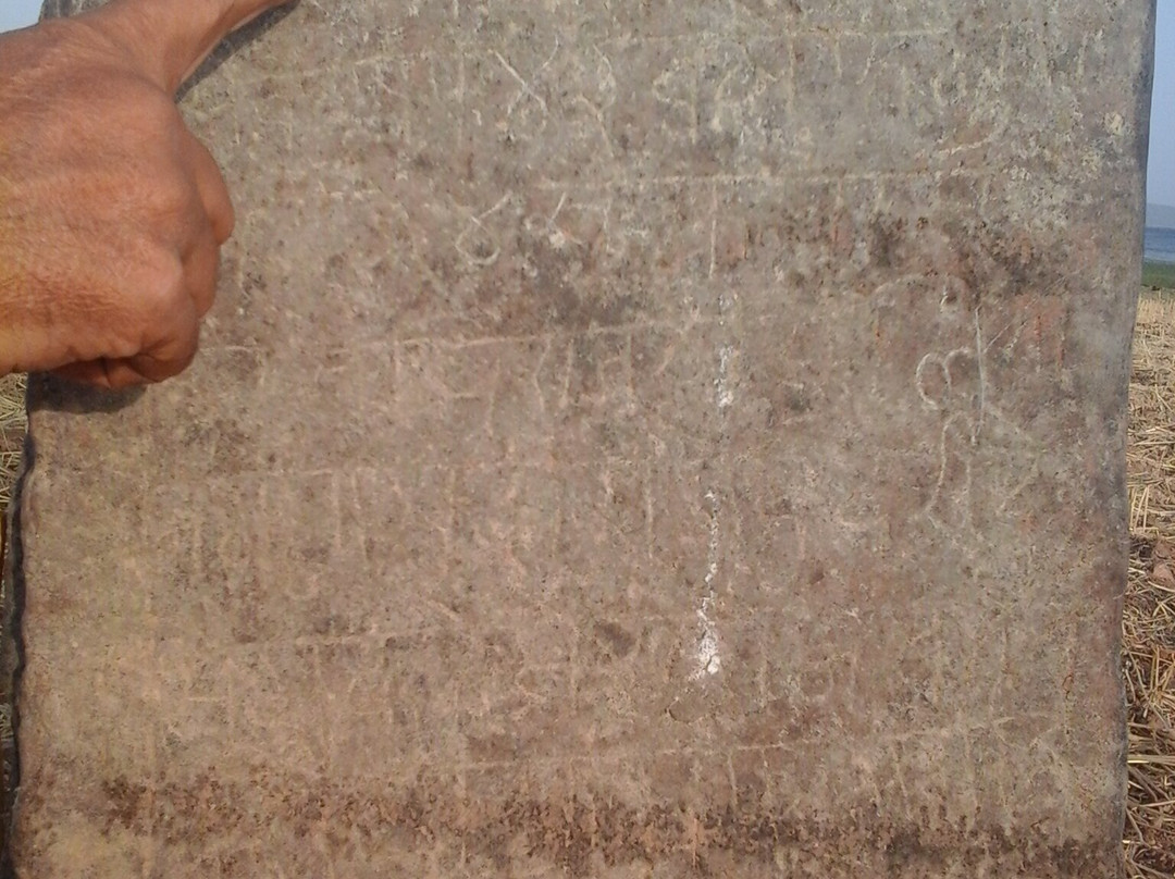 Mahavir Swamy Wildlife Sanctuary-Lalitpur必去景点