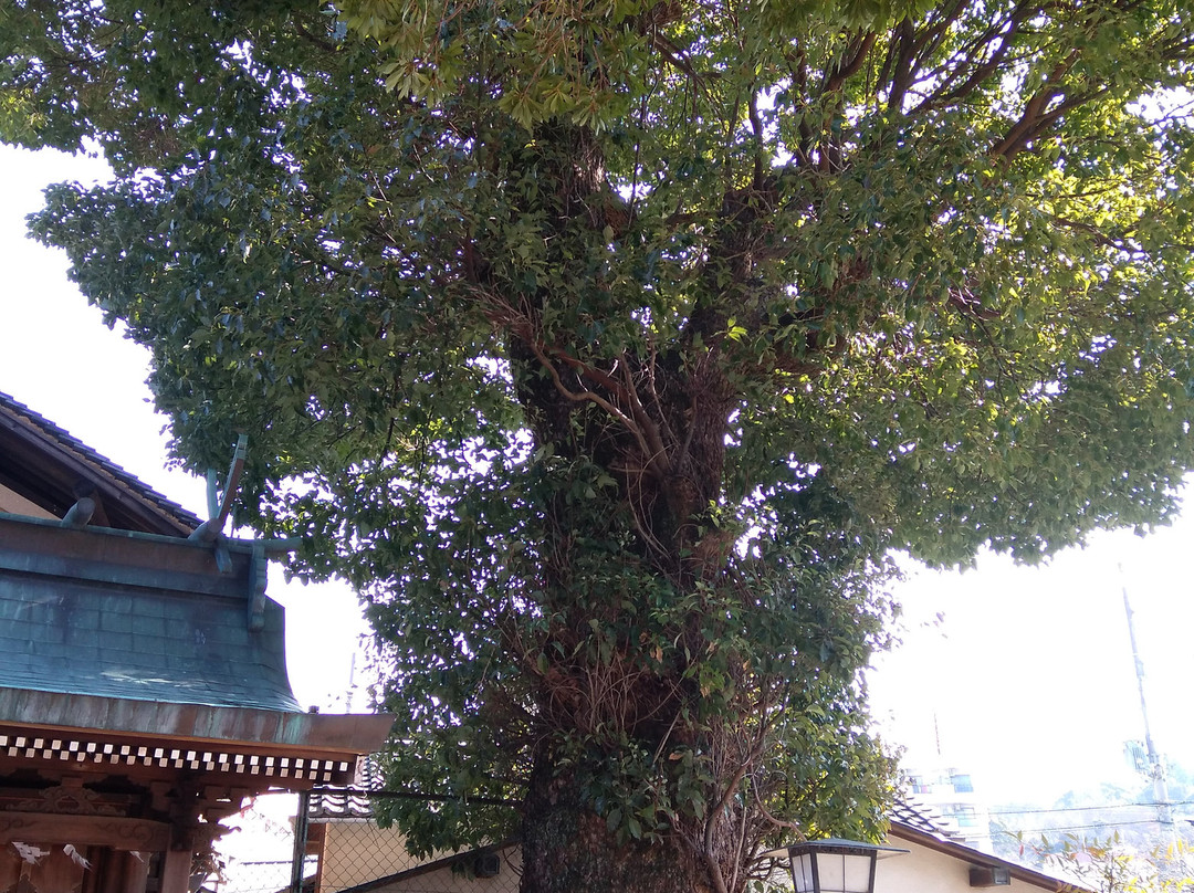 Nagano Shrine-河内长野市必去景点