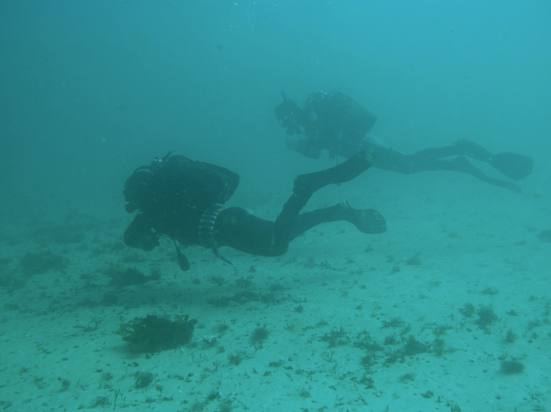 Two Brothers Diving-西门镇必去景点