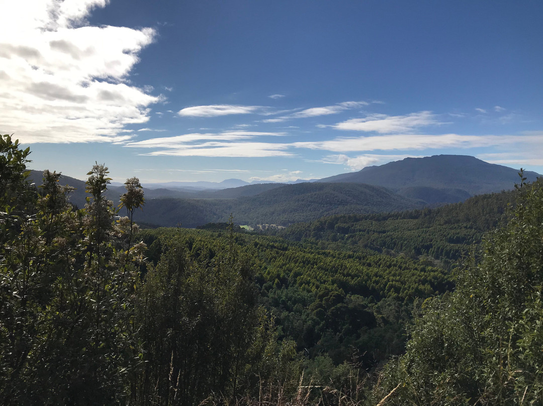 Mersey Valley Drivers Road Lookout-Gowrie Park必去景点