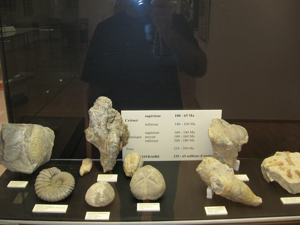 Musee de Prehistoire Regionale-芒通必去景点