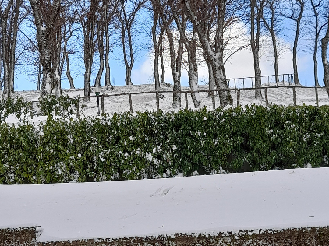 Agriturismo Ricciardelli主图