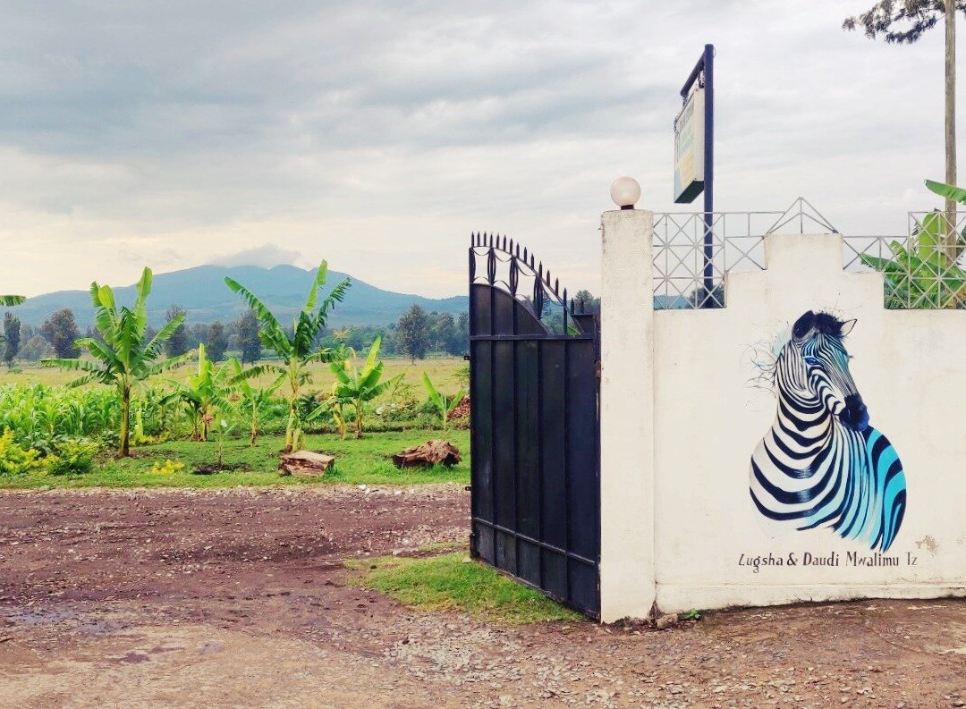 Dan Stam Hotel主图