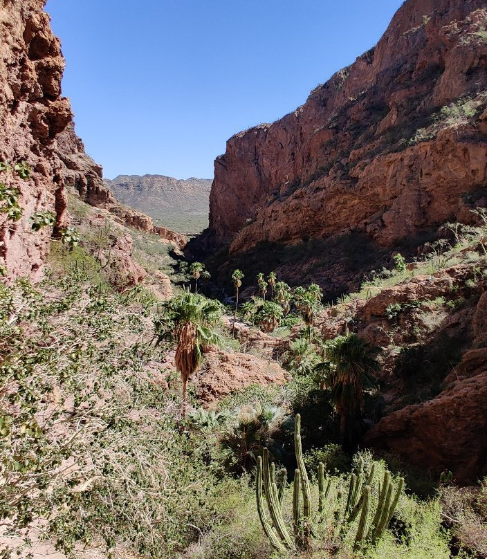 Nacapule Canyon-圣卡洛斯必去景点