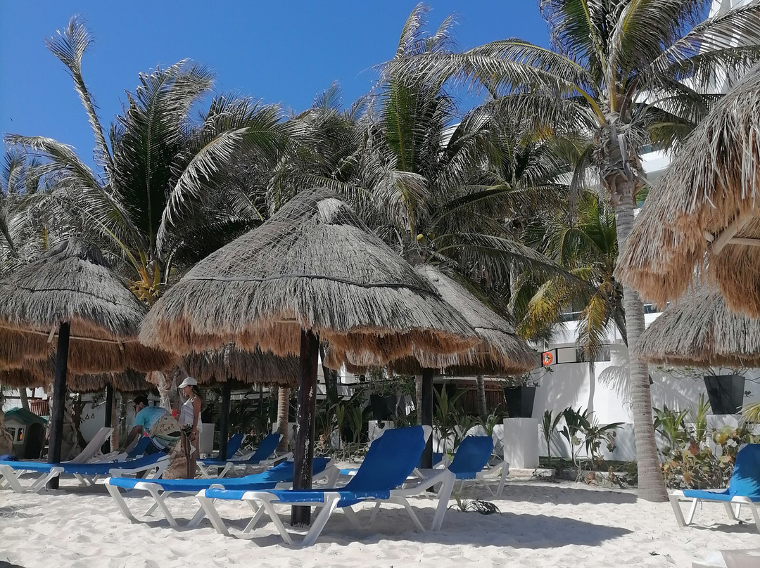 火烈鸟酒店主图