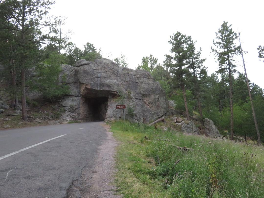 Scovel Johnson Tunnel-基斯通必去景点