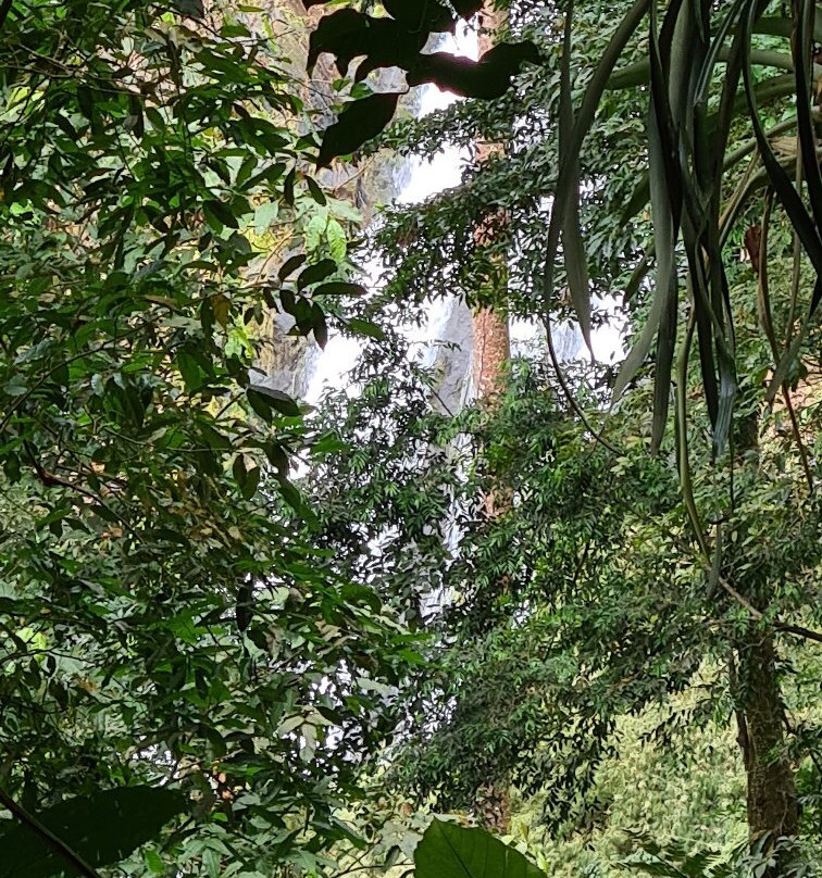 Catarata Bijagual景点图片