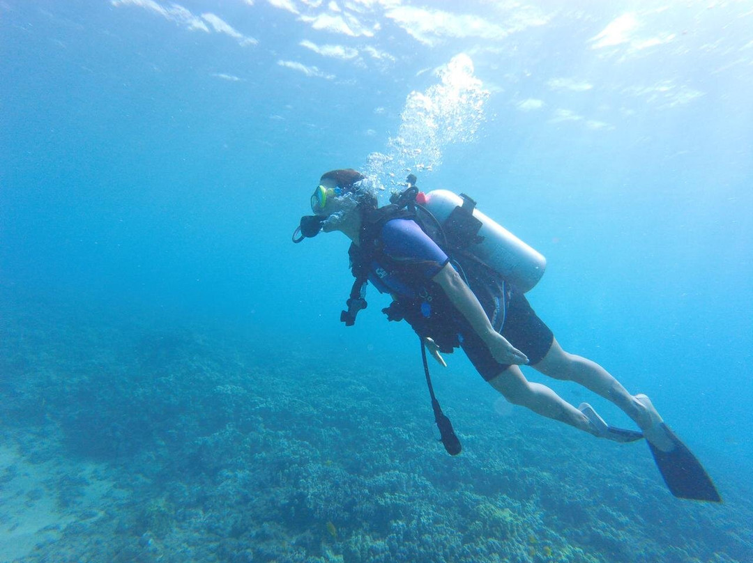 In2Scuba Diving Maui Dive Co.景点图片