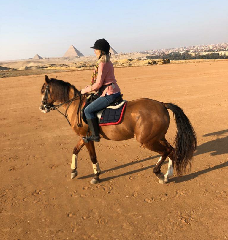 Happy Horse Holidays-开罗必去景点