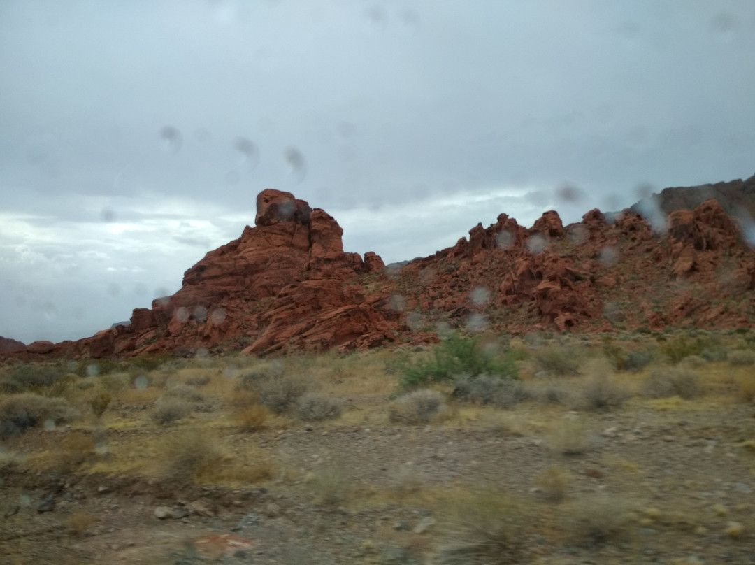 The Beehives-欧弗顿必去景点