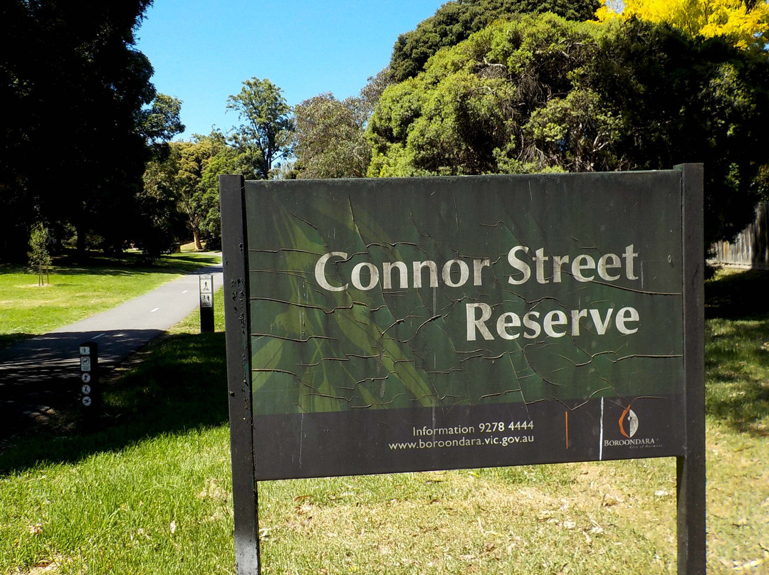 Connor Street Reserve景点图片