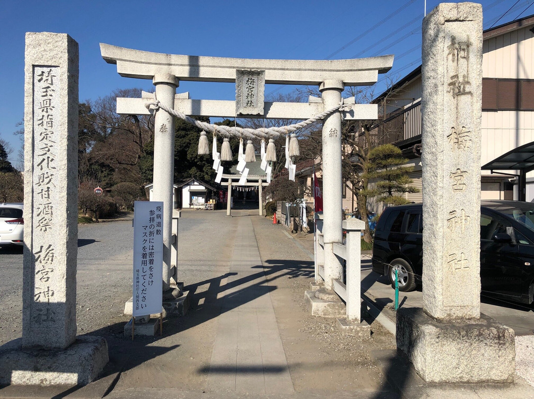 Umenomiya Shrine-狭山市必去景点
