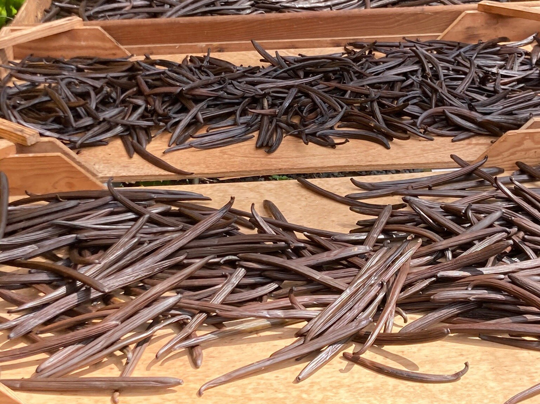 La Vanilleraie de Fety-Pointe-Noire必去景点