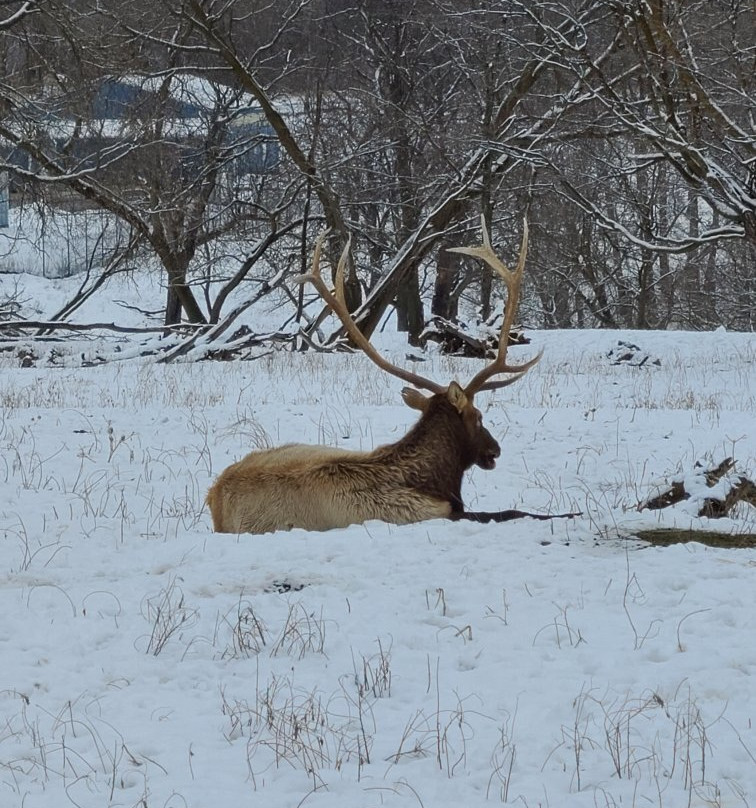 Gaylord's City Elk Park景点图片
