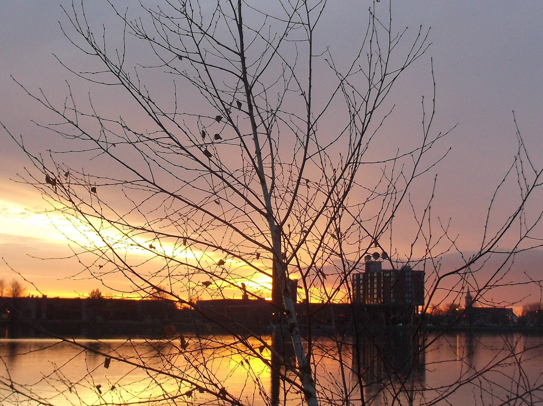 Parc Delpha-Sauvé-Salaberry-de-Valleyfield必去景点