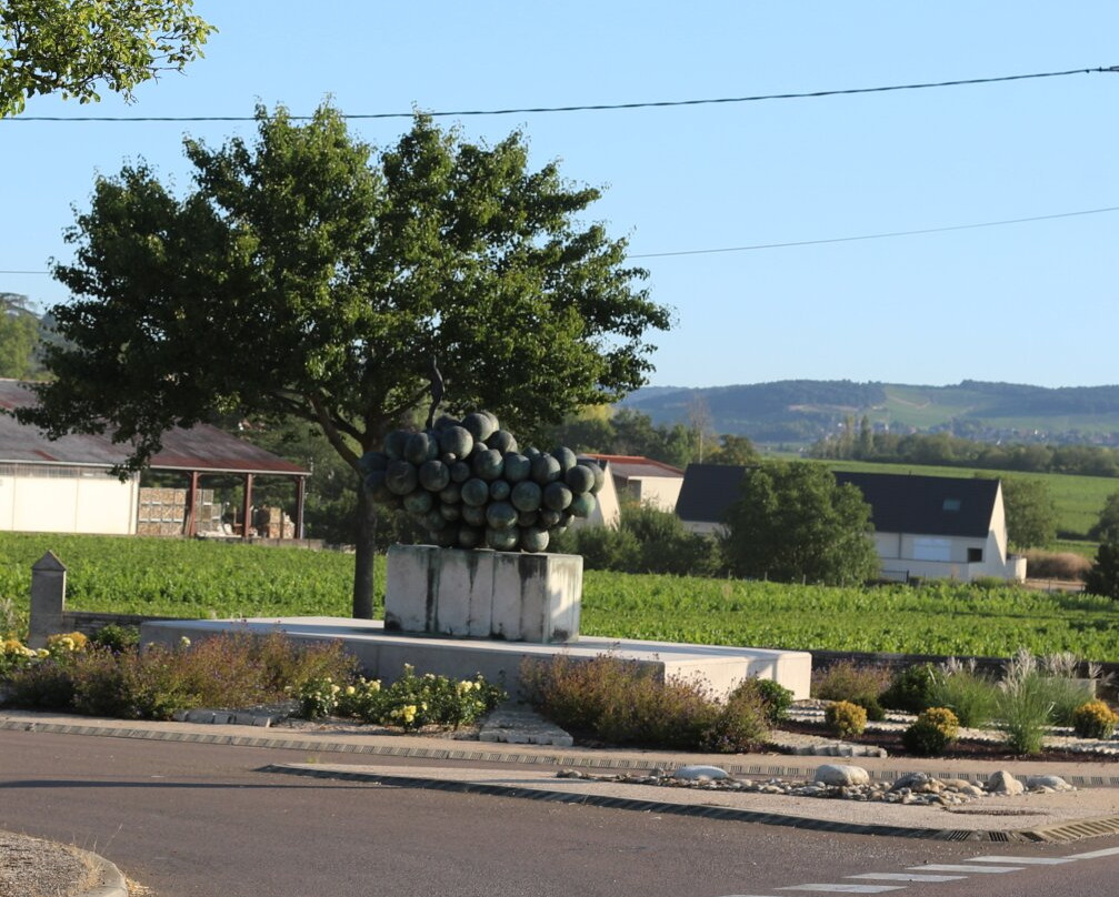 Grappe De Raisin De Puligny-montrachet景点图片