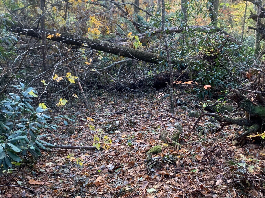 Emery Creek Trail-Chatsworth必去景点