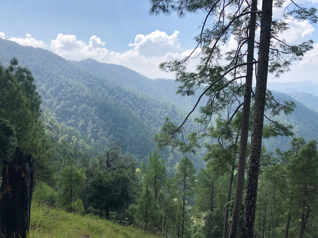 Nine Furlongs, Binsar Wildlife Sanctuary主图