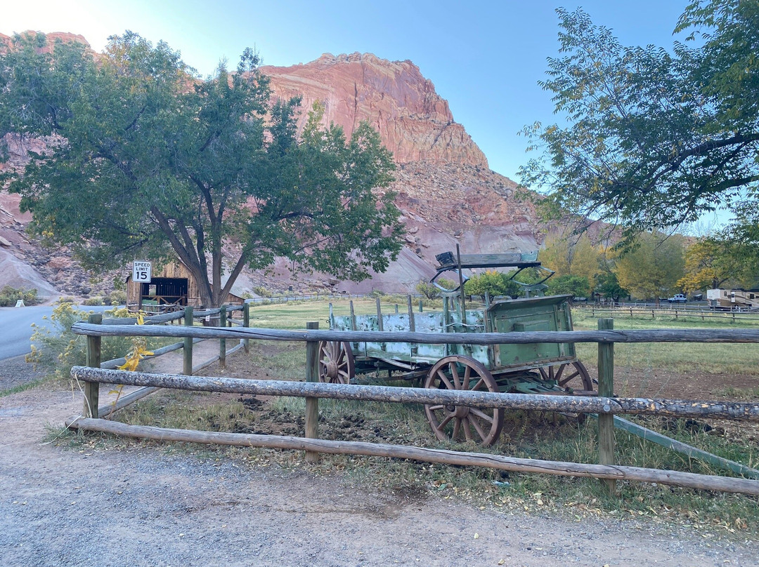 Gifford Homestead-圆顶礁国家公园必去景点