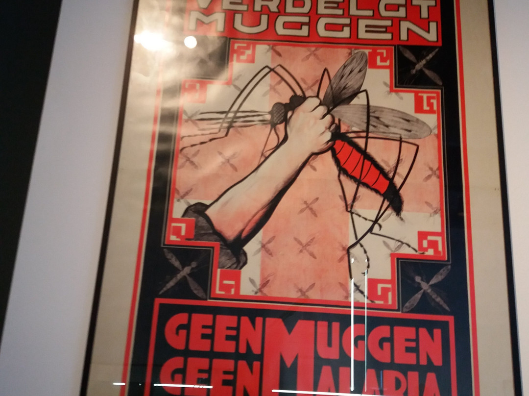 Rijksmuseum Boerhaave-莱顿必去景点