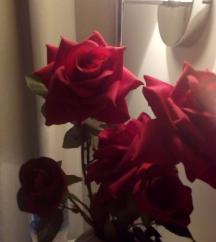 Hotel Porto Nápolis主图