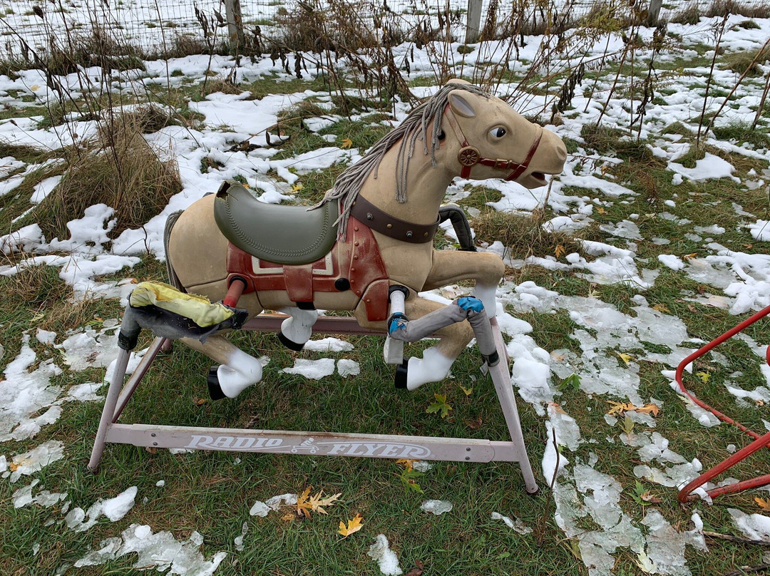 Ponyhenge-Lincoln必去景点