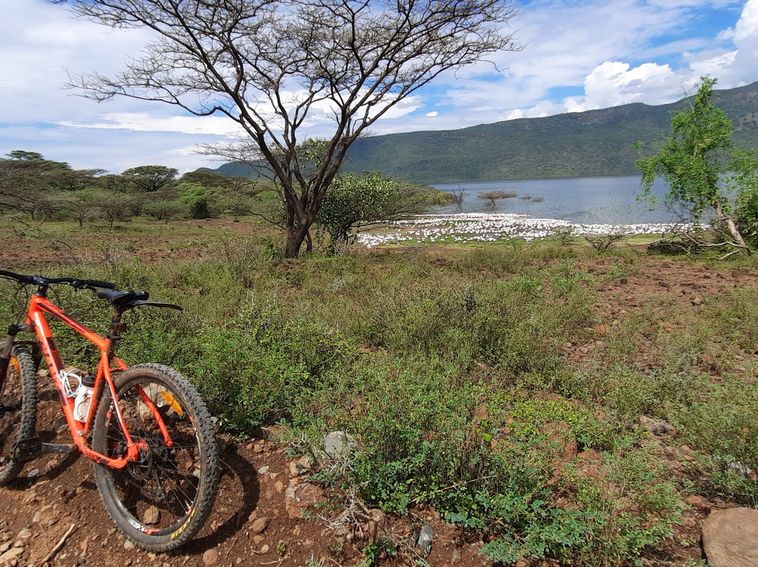 Baiskeli Adventures-内罗毕必去景点