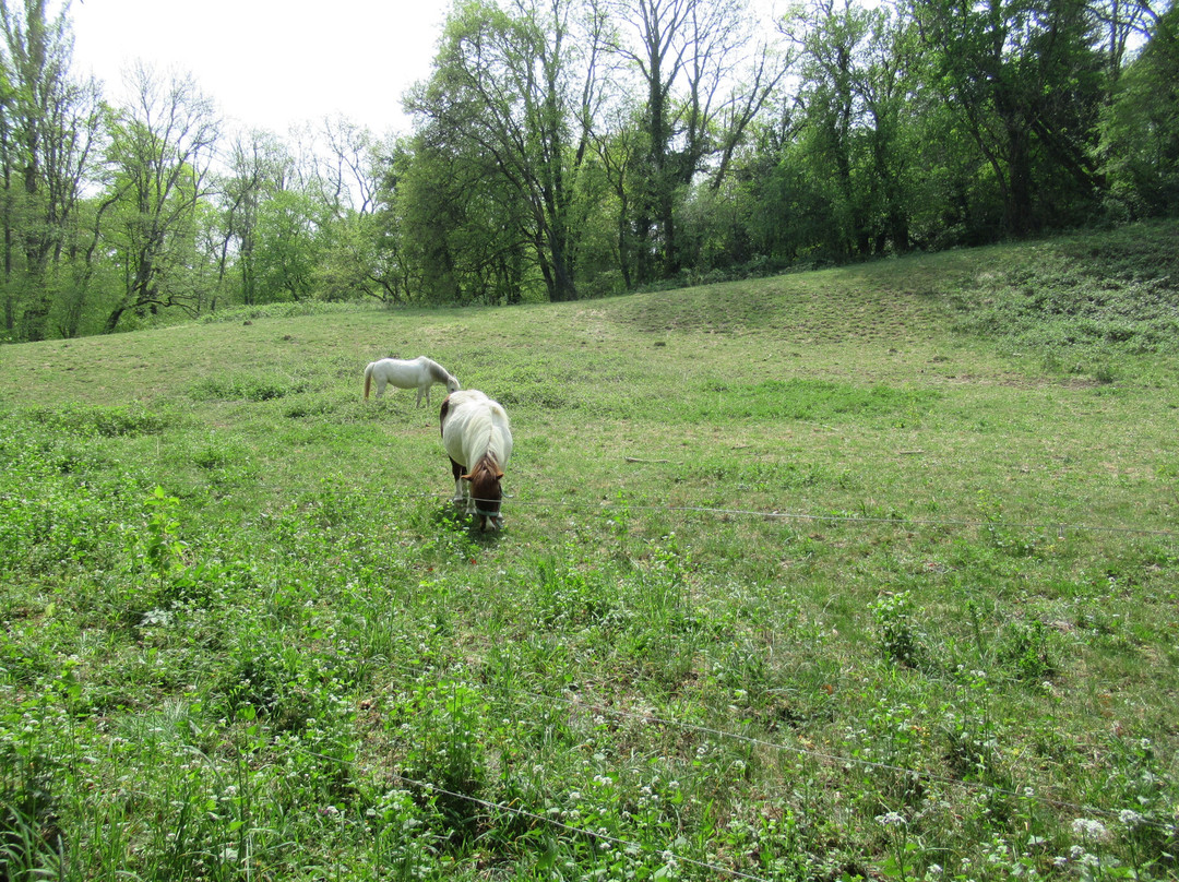 Grenzwanderung Hermance