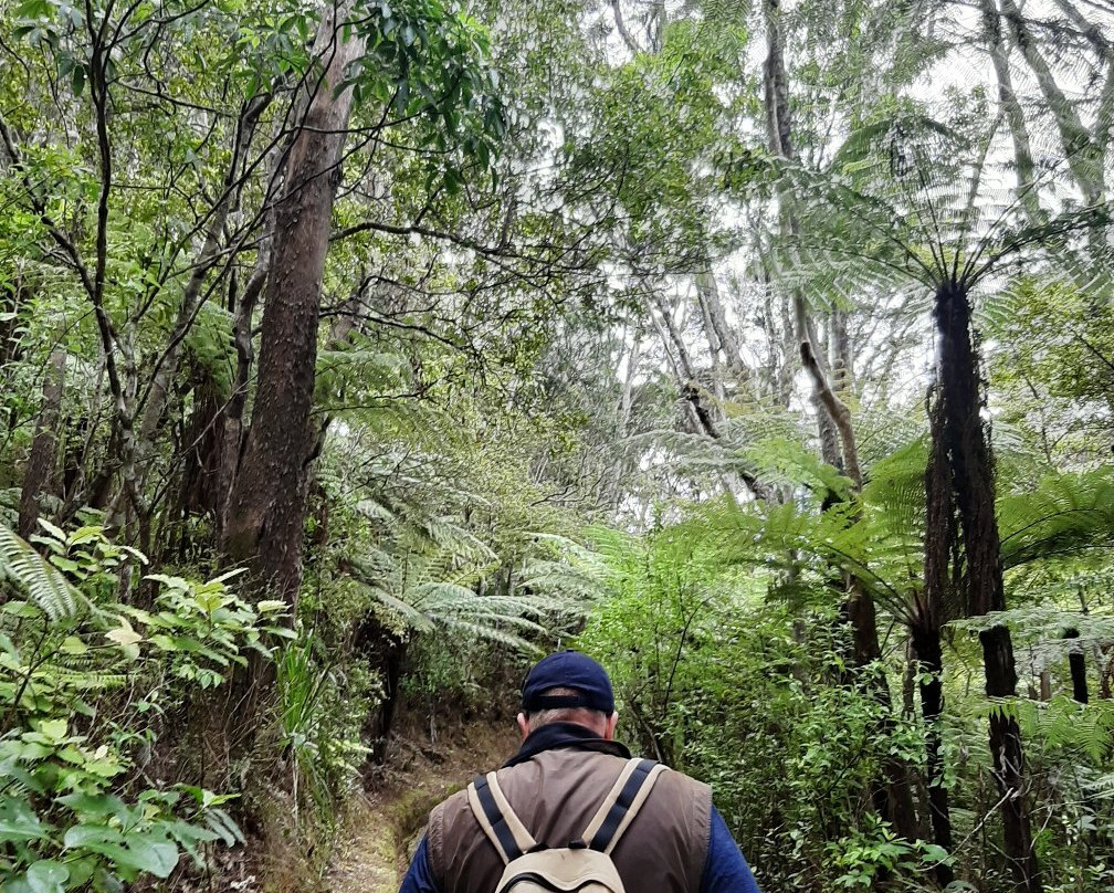 Kaitoke Hot Springs景点图片