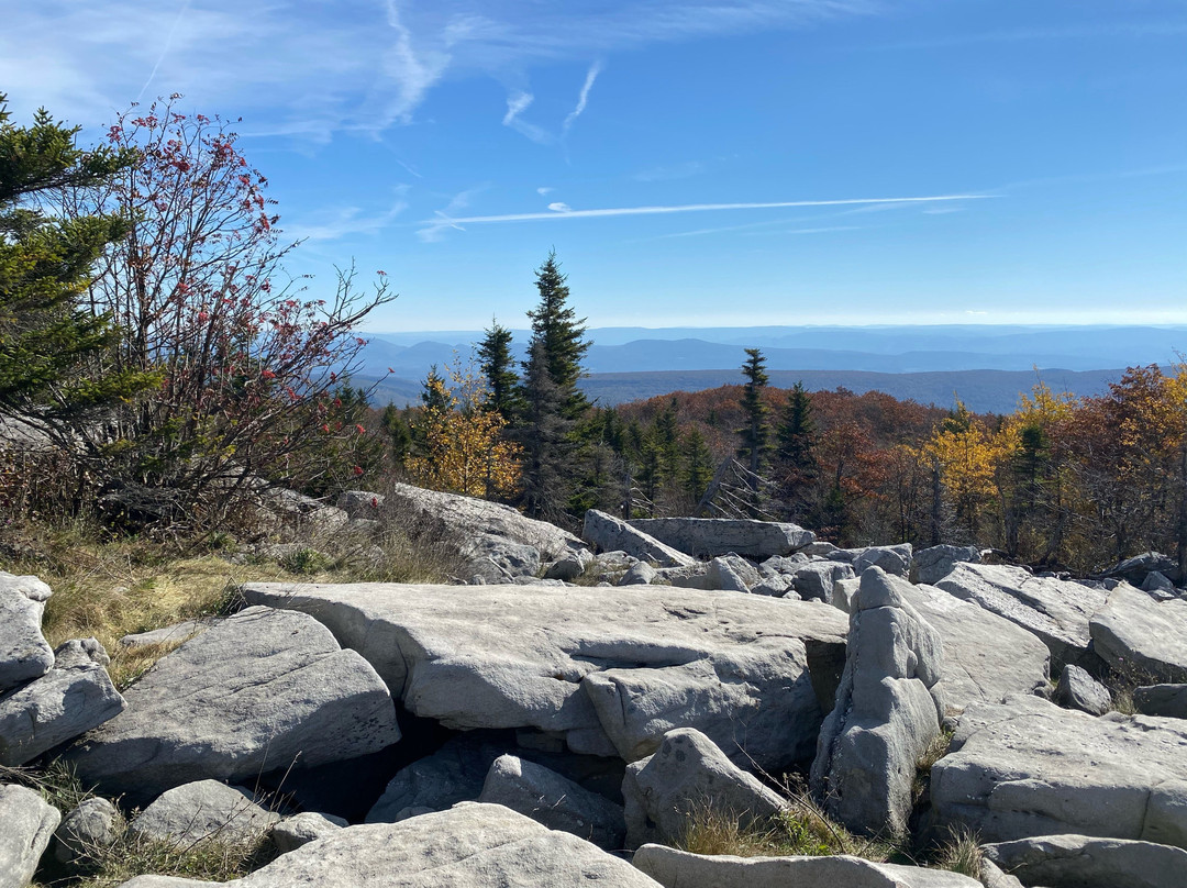 Dolly Sods Wilderness Area-Elkins必去景点