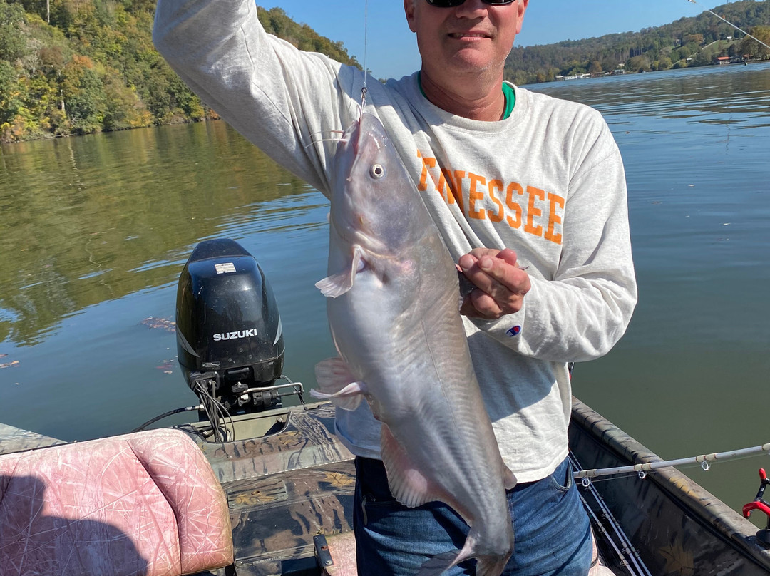 Tennessee River Monsters Fishing Guide Service - Striper, Catfish & Musky-Clinton必去景点