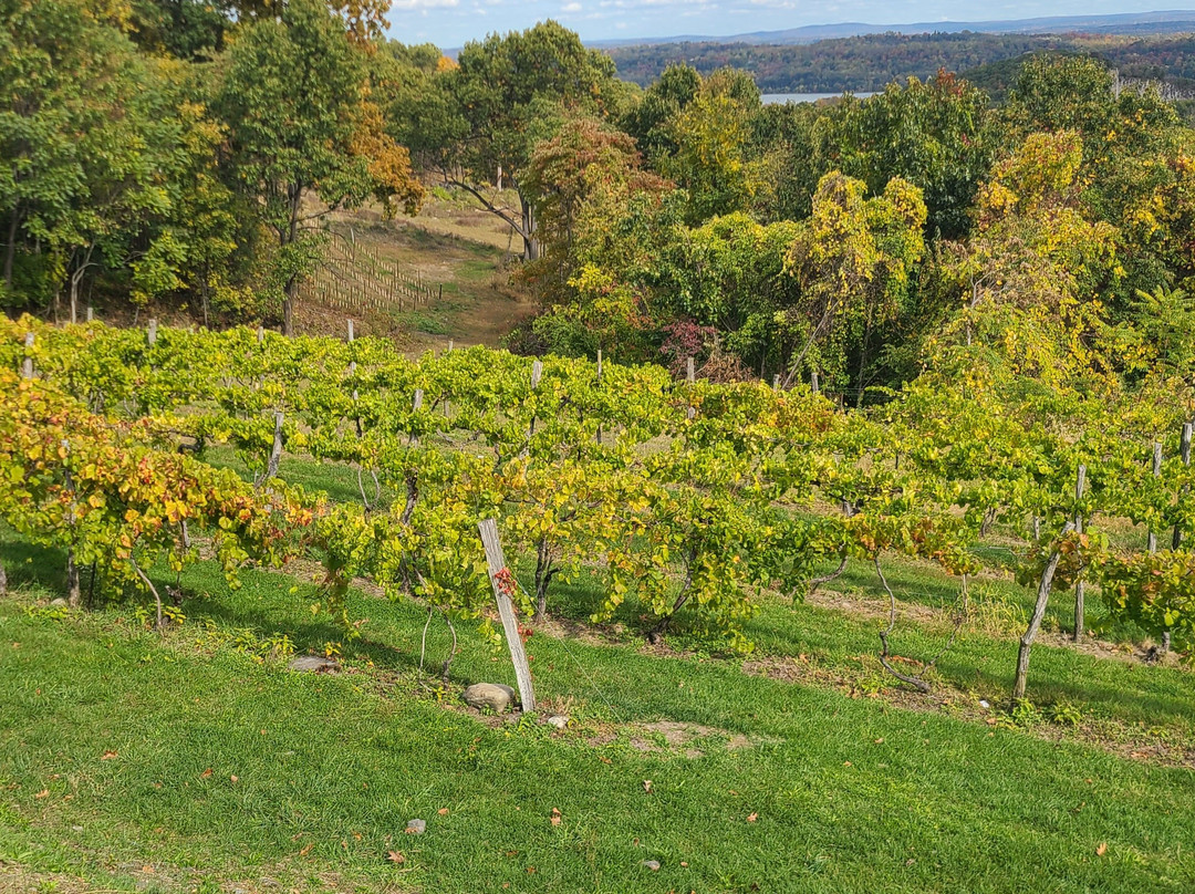 Benmarl Vineyards and Winery景点图片