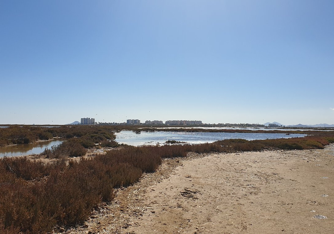 Paraje de Las Salinas-San Pedro del Pinatar必去景点