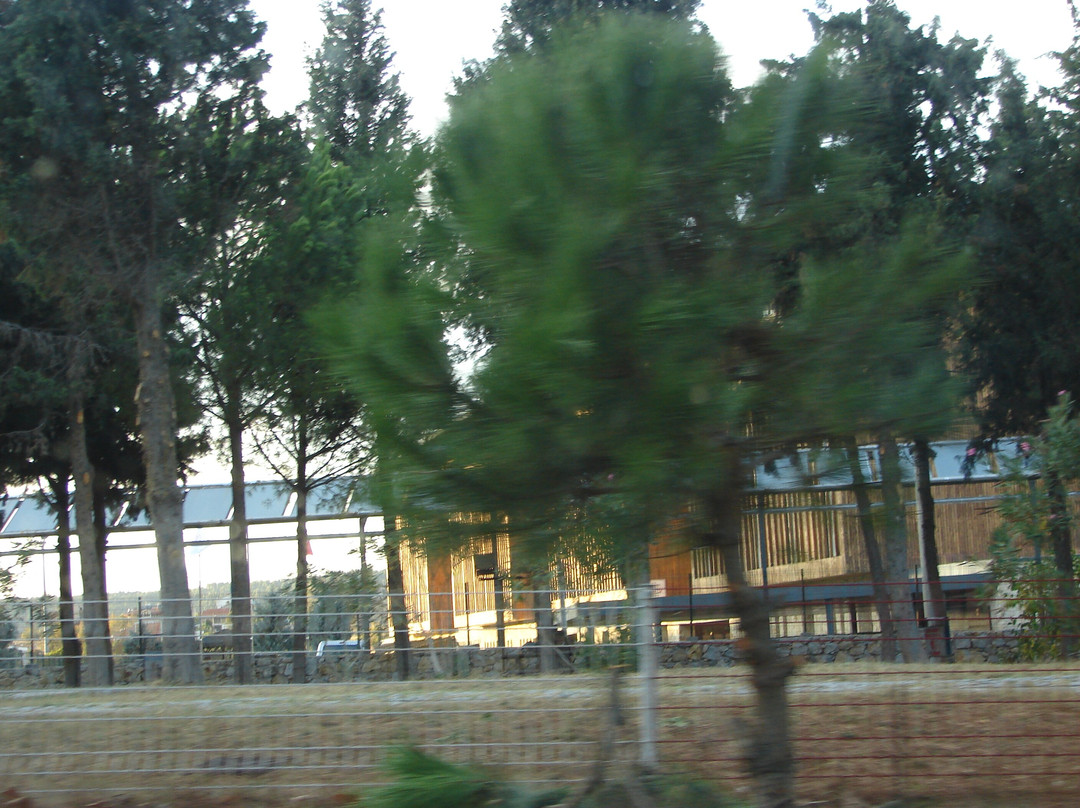 Çamburun Parkı景点图片