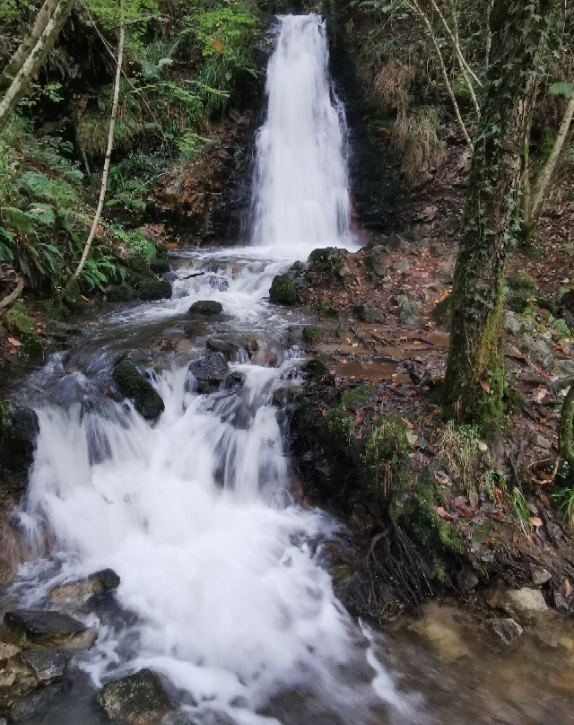 Ruta a la Cascada del Nonaya景点图片