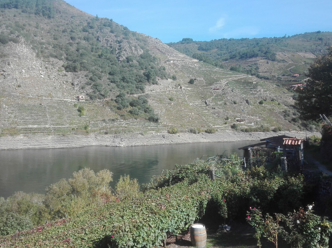 Bodega Ronsel Do Sil景点图片