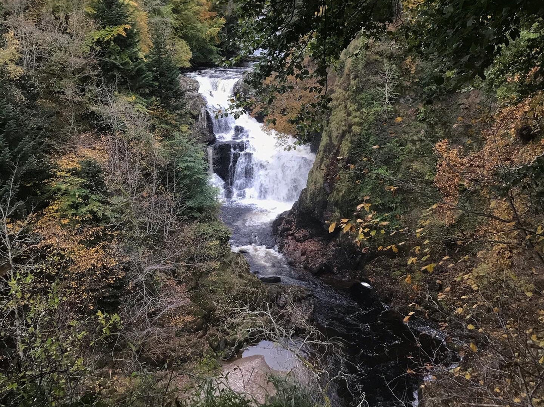 Reekie Linn-Kirriemuir必去景点