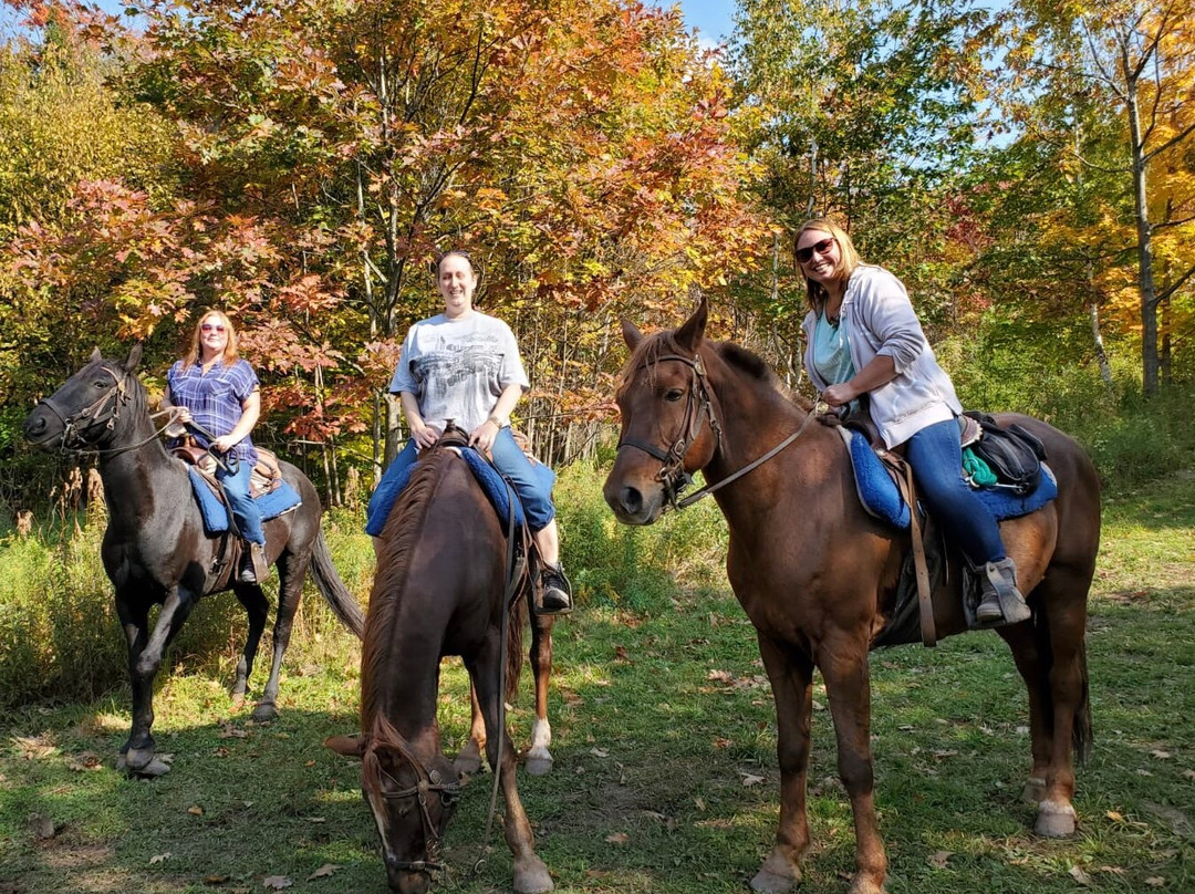 Rough Riders Ranch-East Jewett必去景点
