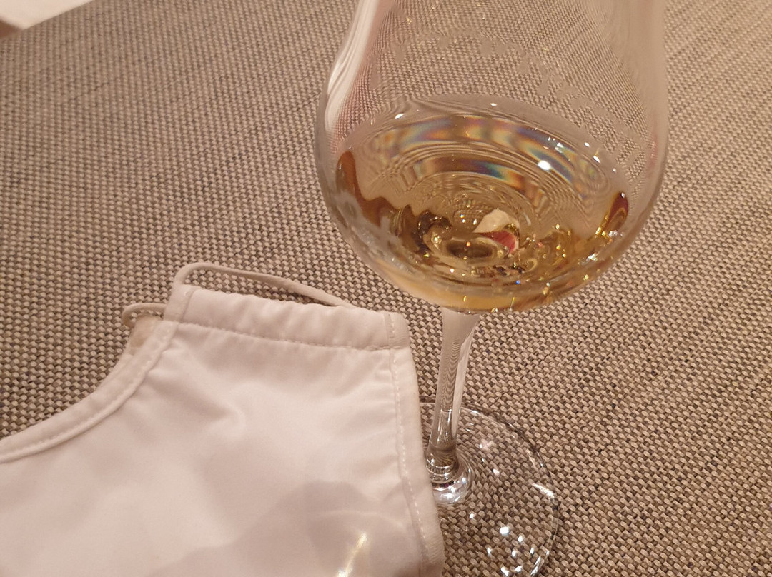 Landhotel Restaurant Wilder Mann主图
