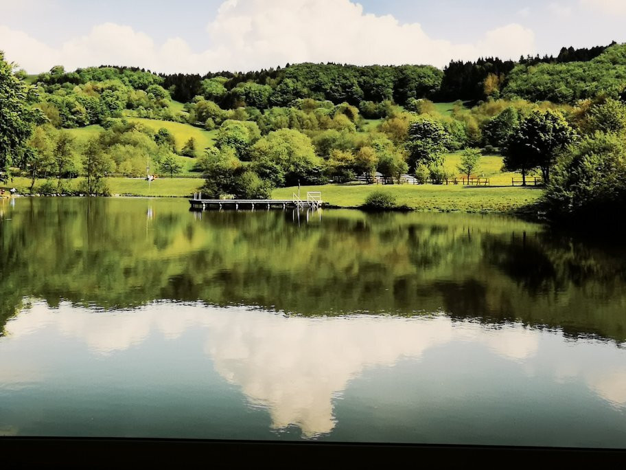 Landhaushotel Hof Wasserkuppe主图